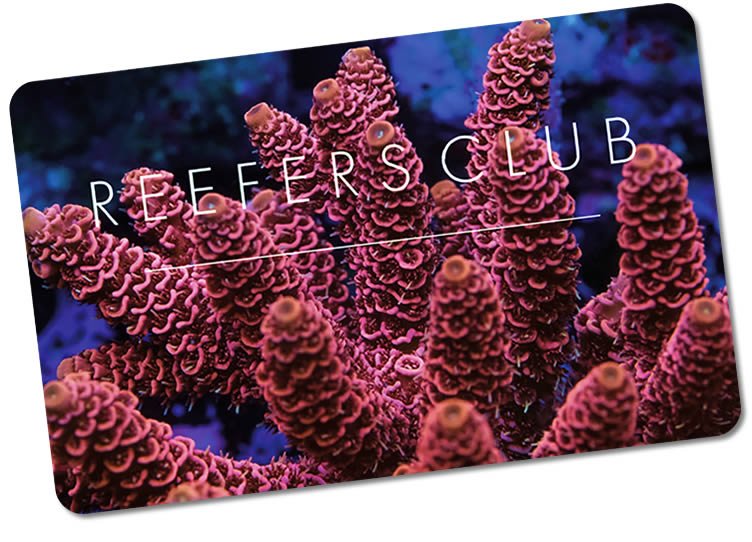 Reefersclub Card